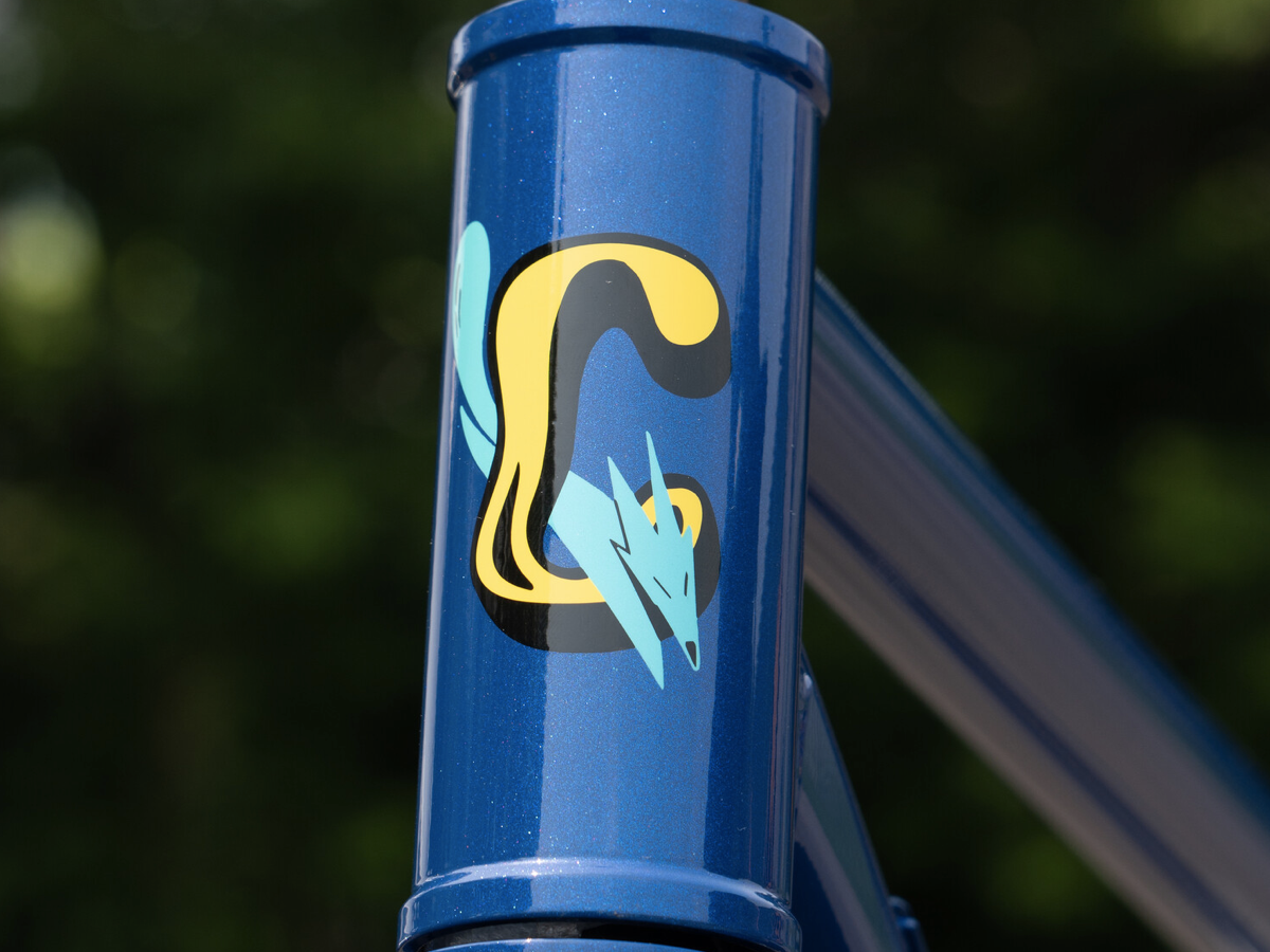 BASSI COYOTE FRAME