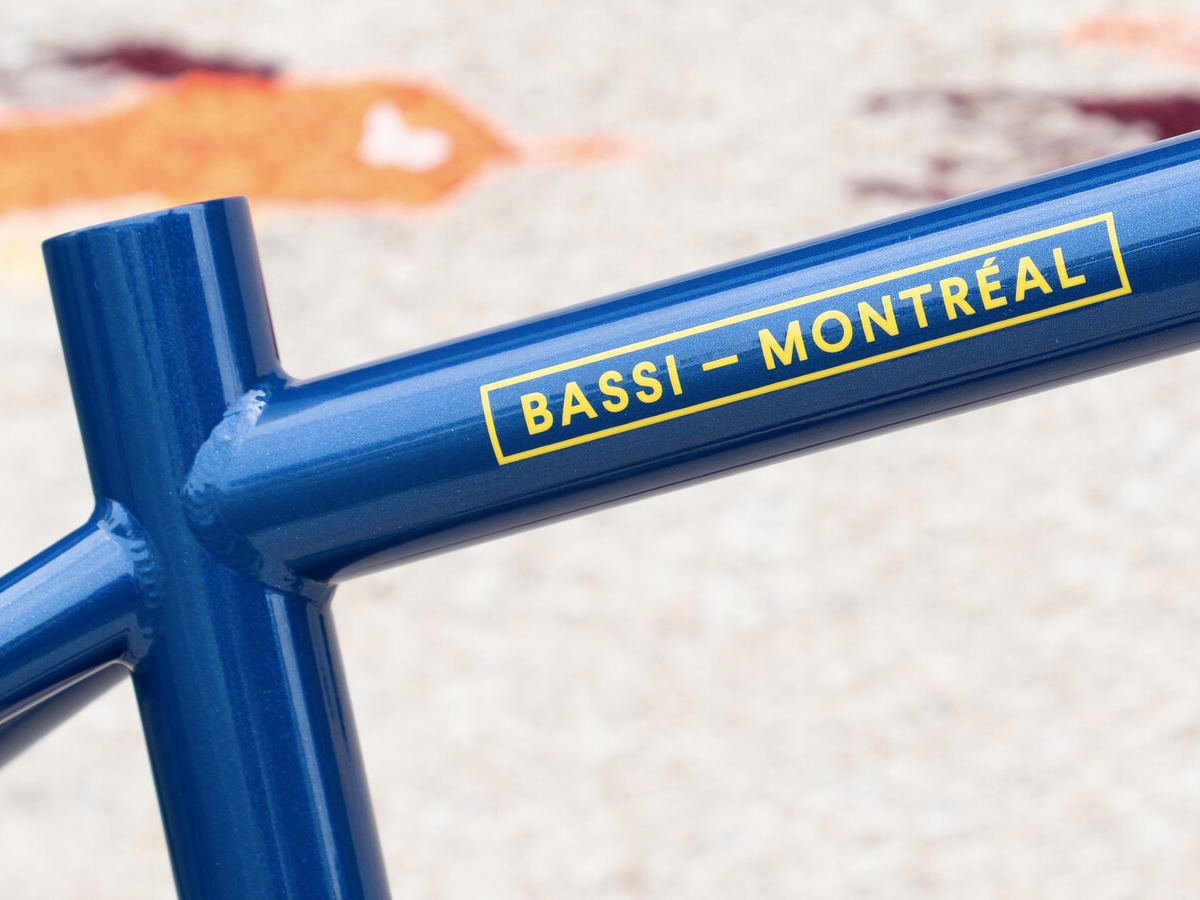BASSI COYOTE FRAME