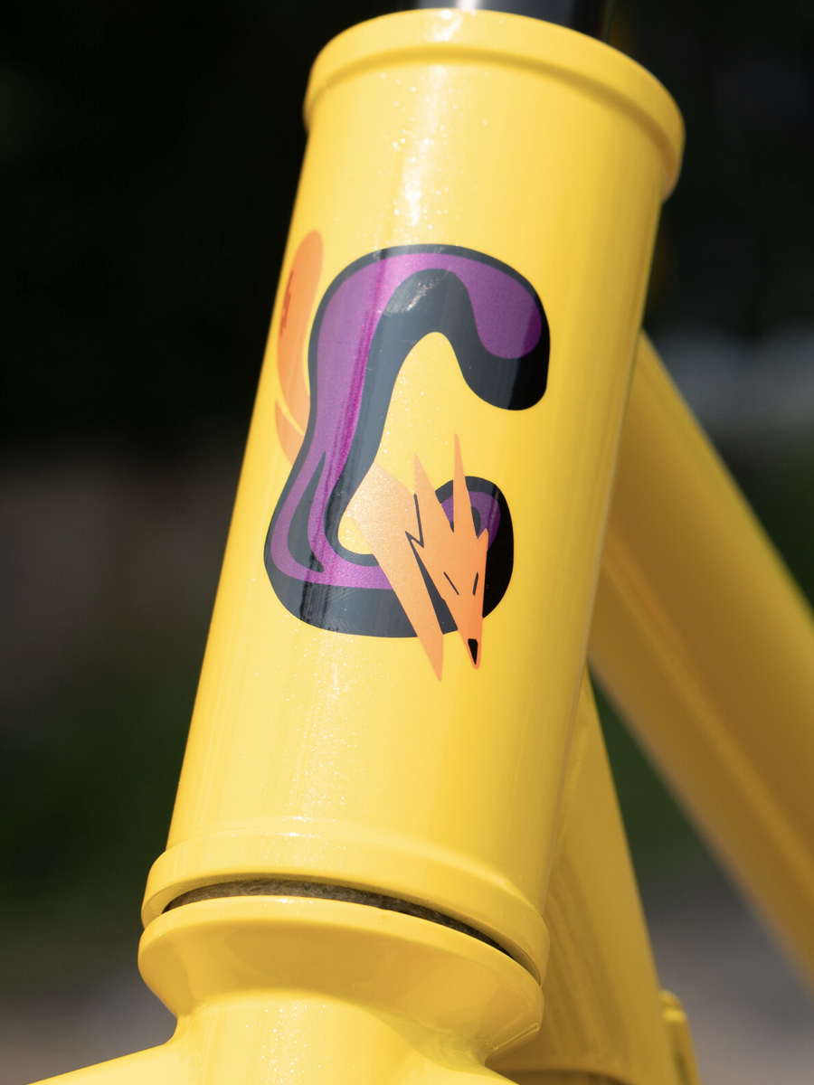 BASSI COYOTE FRAME