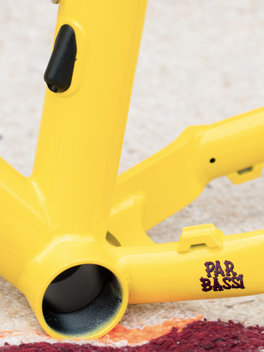 BASSI COYOTE FRAME