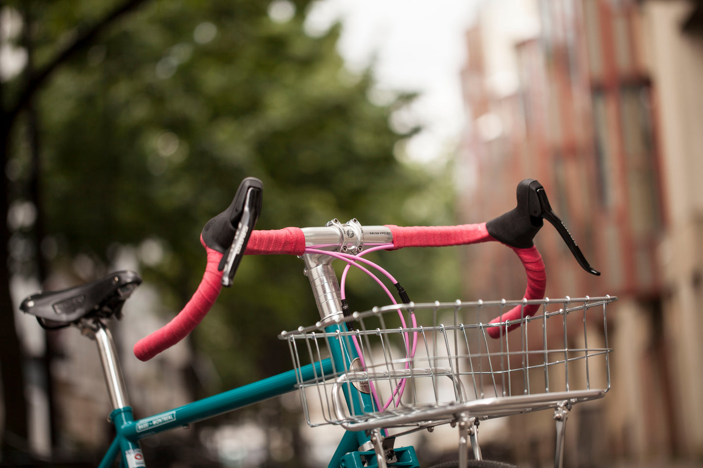 AGATHE'S BASSI HOG'S BACK