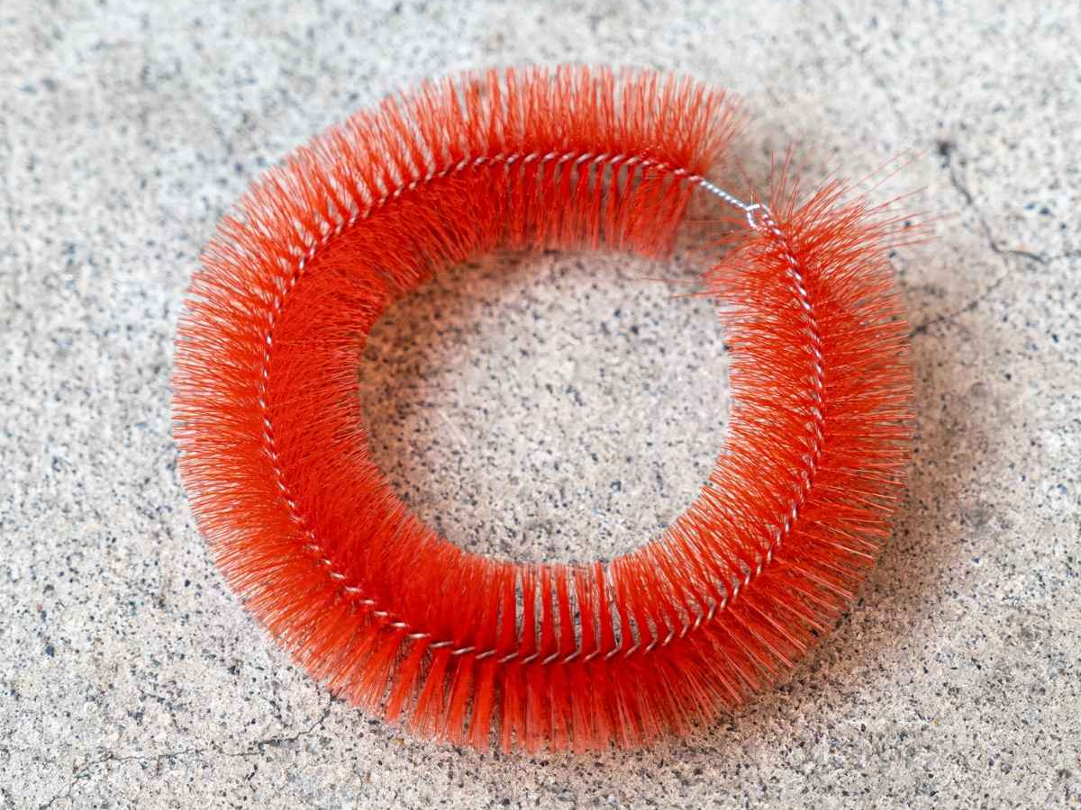 BRILLE MOYEU BLUE LUG - HABUGE