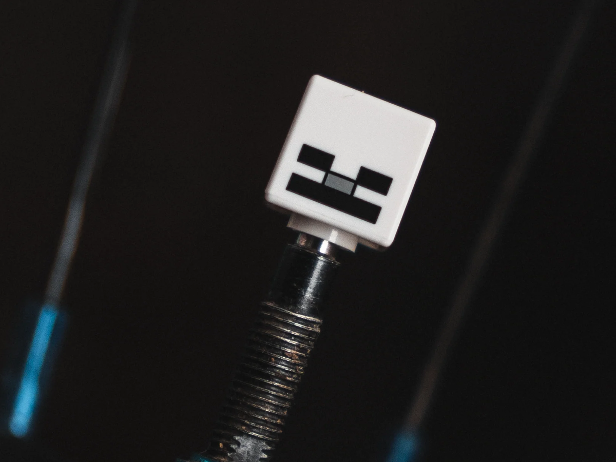 BRICK CAPS - PRESTA TYRE VALVE CAPS - MINECRAFT SKELETON