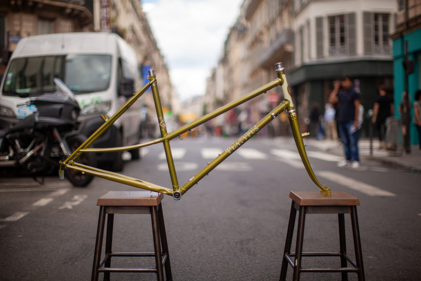 RIVENDELL PLATYPUS FRAME