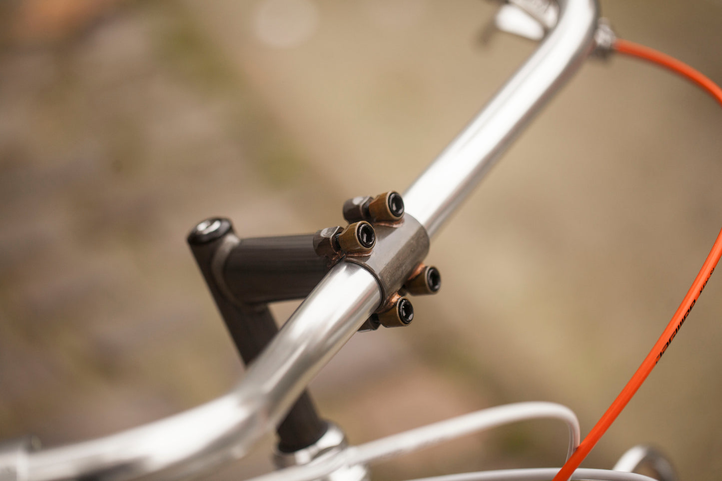 CHIHYA'S BASSI RACHEL