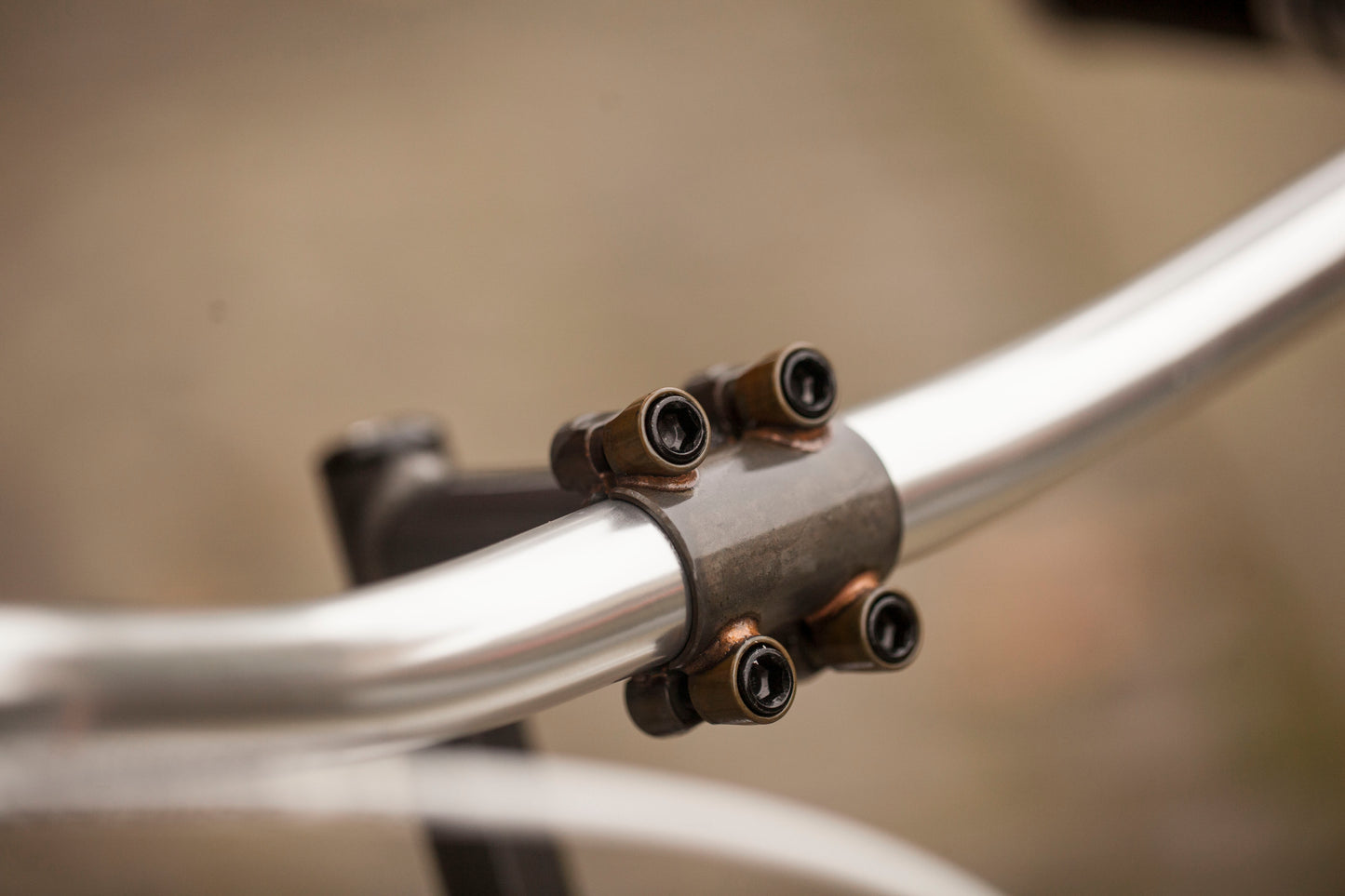 CHIHYA'S BASSI RACHEL