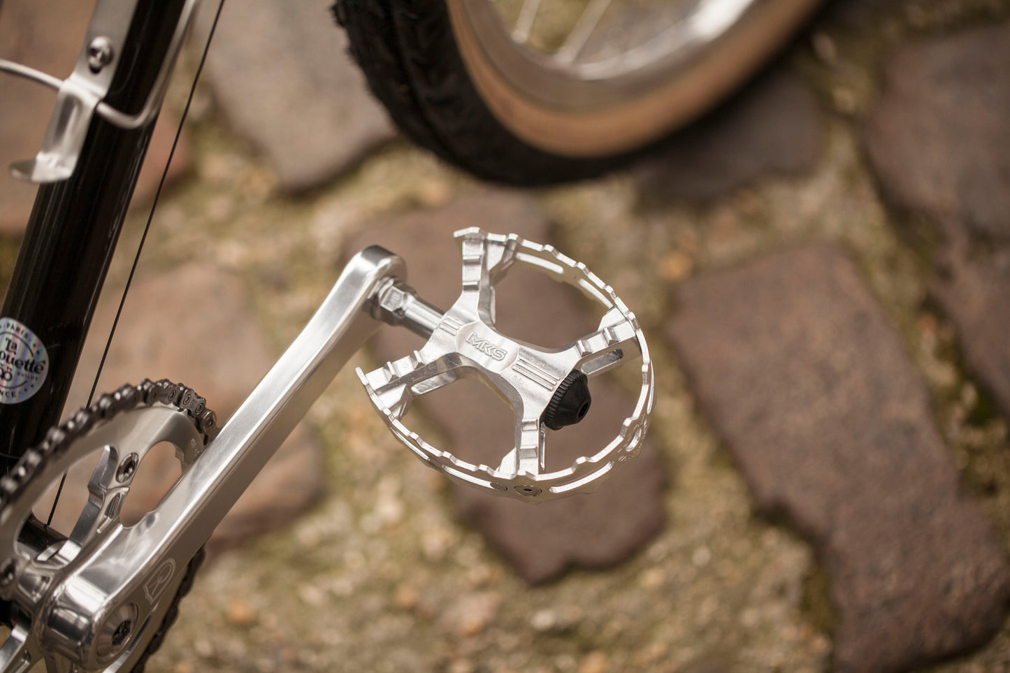 CHIHYA'S BASSI RACHEL