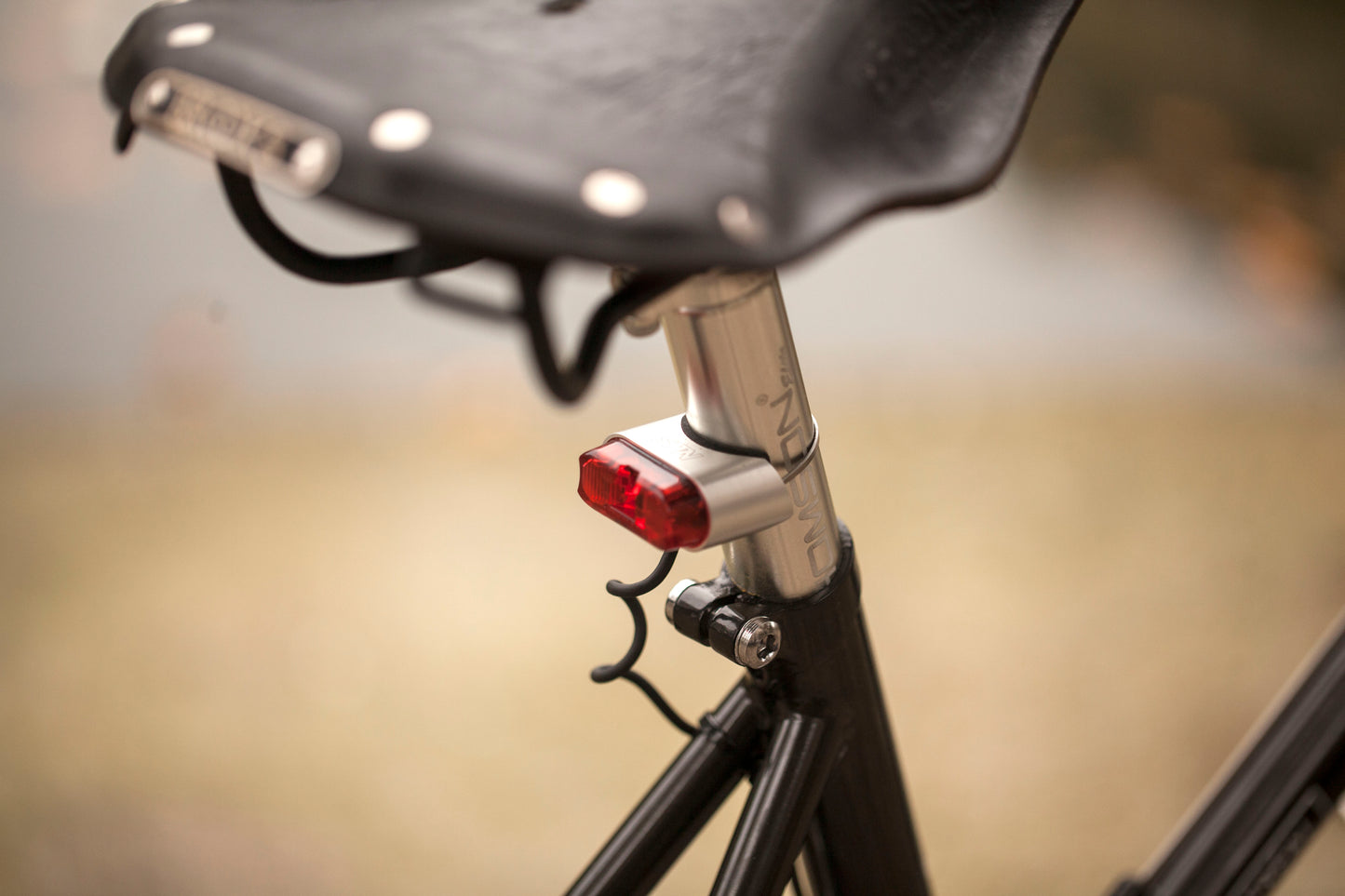 CHIHYA'S BASSI RACHEL