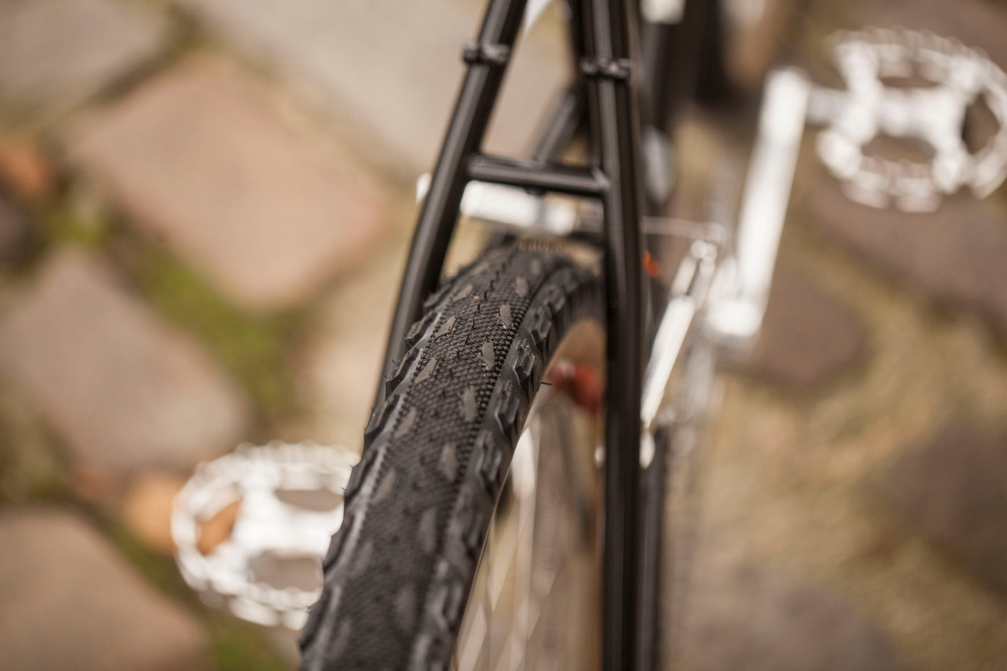 CHIHYA'S BASSI RACHEL