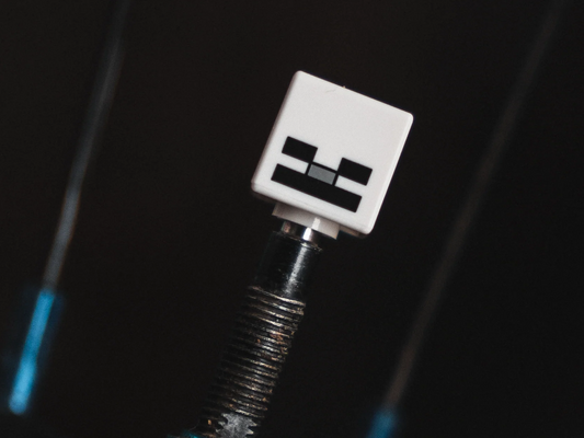 BRICK CAPS - PRESTA TYRE VALVE CAPS - MINECRAFT SKELETON