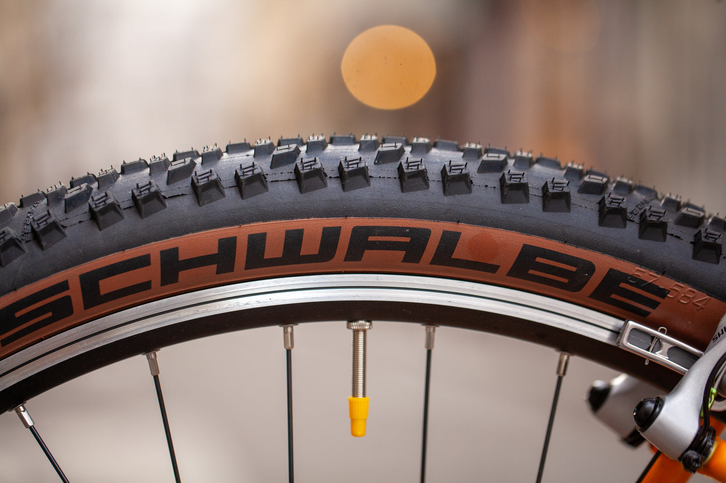 CRUST WOMBAT CUSTOM BUILD - LARGE