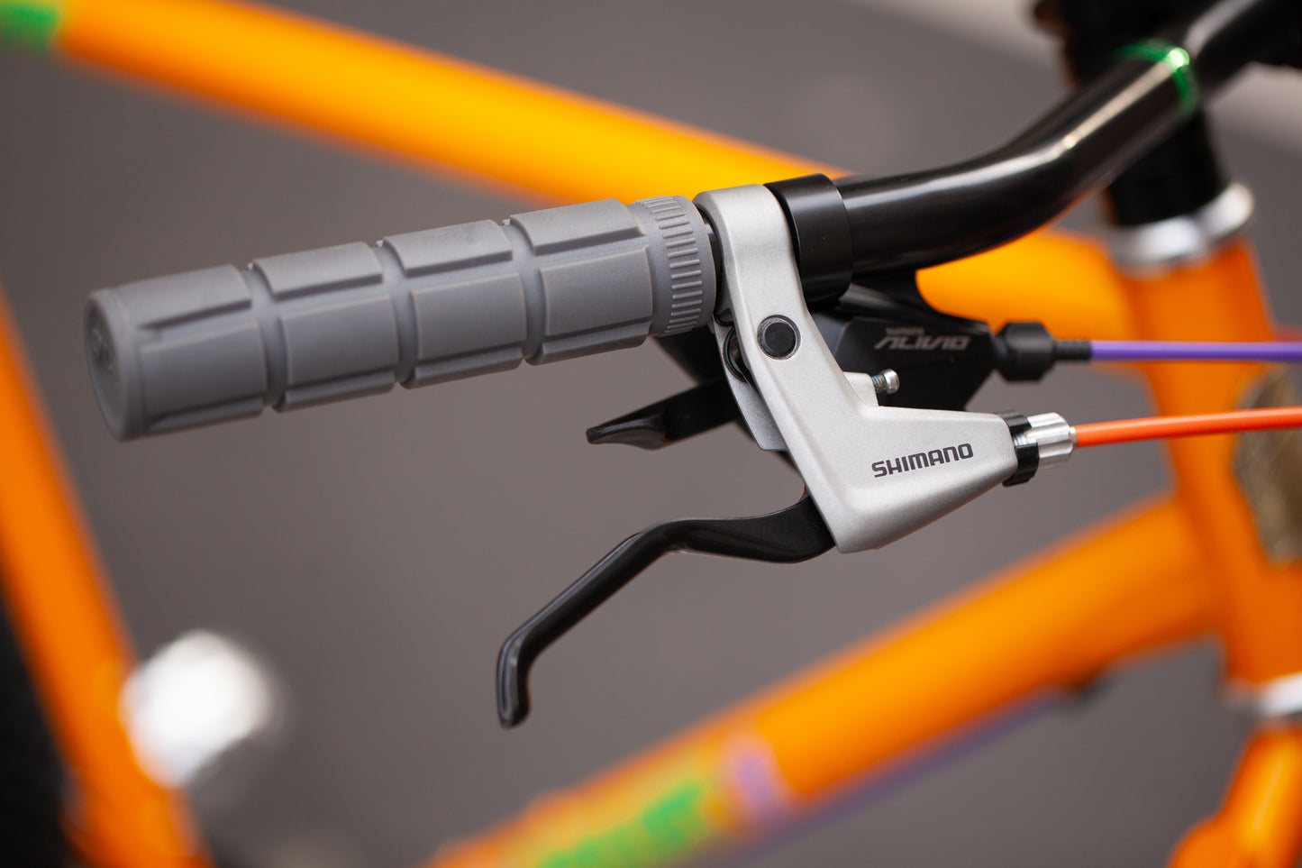 CRUST WOMBAT CUSTOM BUILD - LARGE