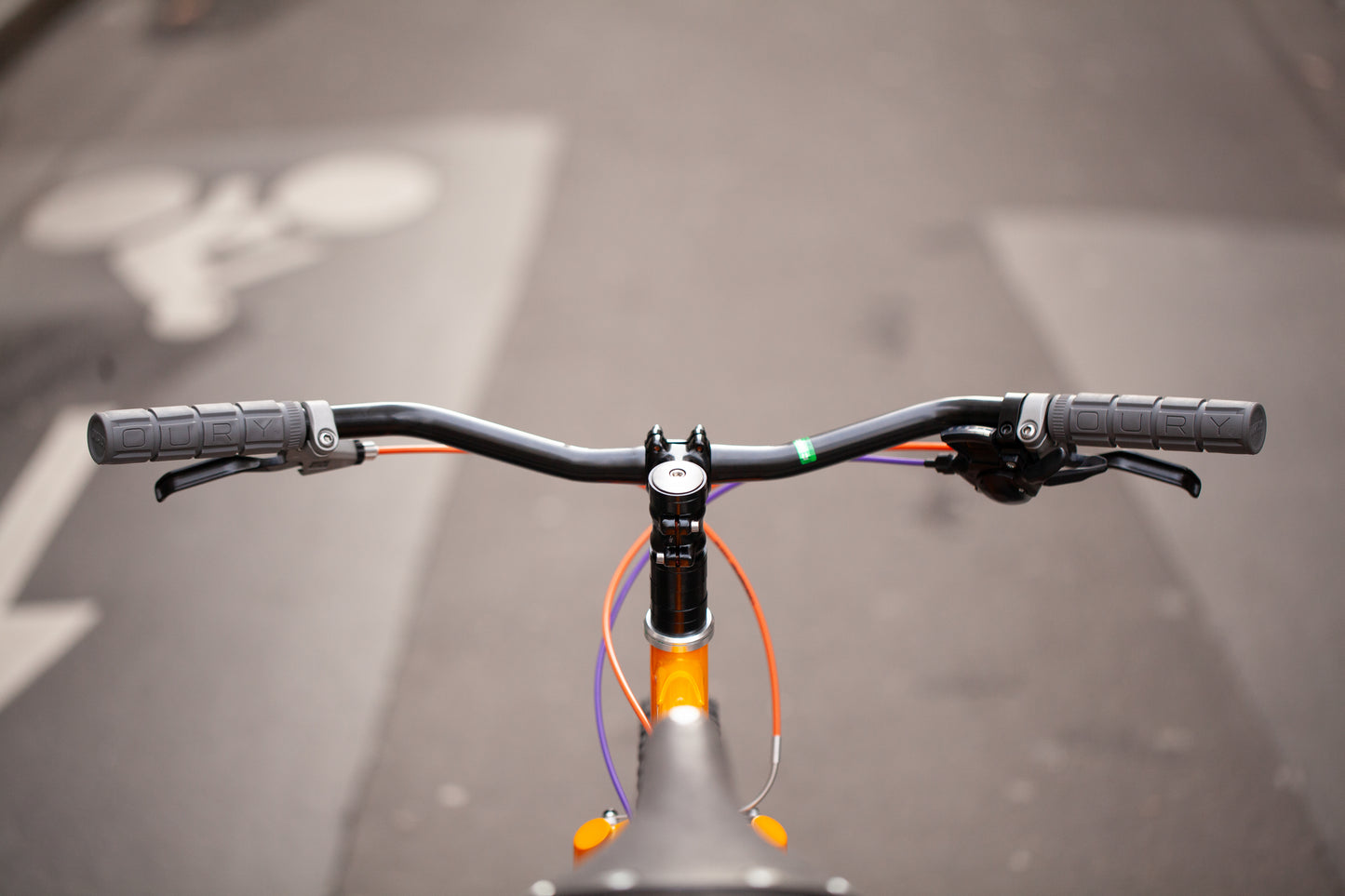 CRUST WOMBAT CUSTOM BUILD - LARGE