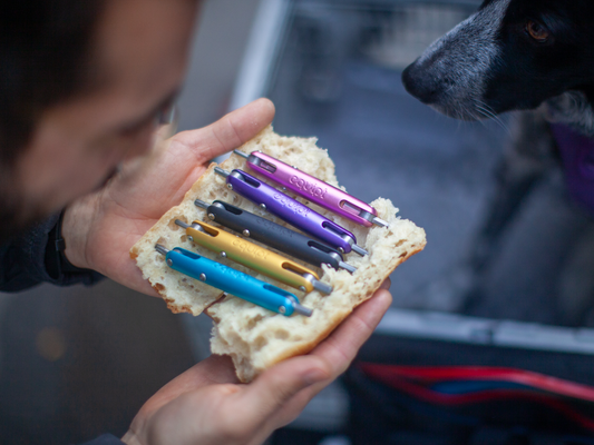 EQUIPT JAPAN SARDINE MULTITOOL