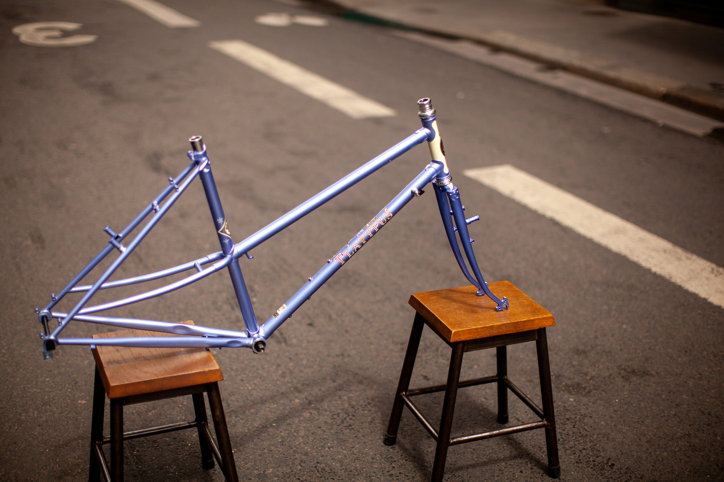 RIVENDELL PLATYPUS FRAME