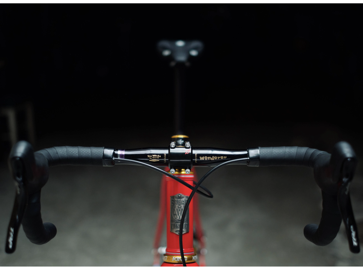 GUIDON SIMWORKS - WONDERER