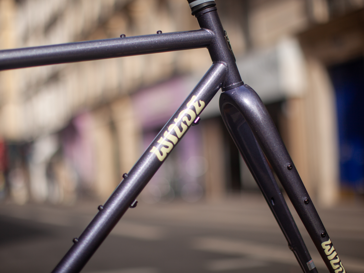 WILDE RAMBLER SL FRAME - DISCO MOONDUST