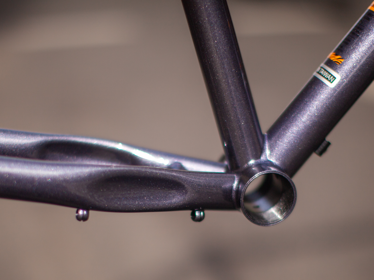 WILDE RAMBLER SL FRAME - DISCO MOONDUST