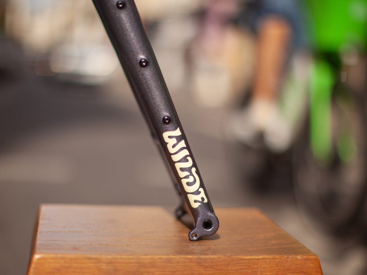 WILDE RAMBLER SL FRAME - DISCO MOONDUST