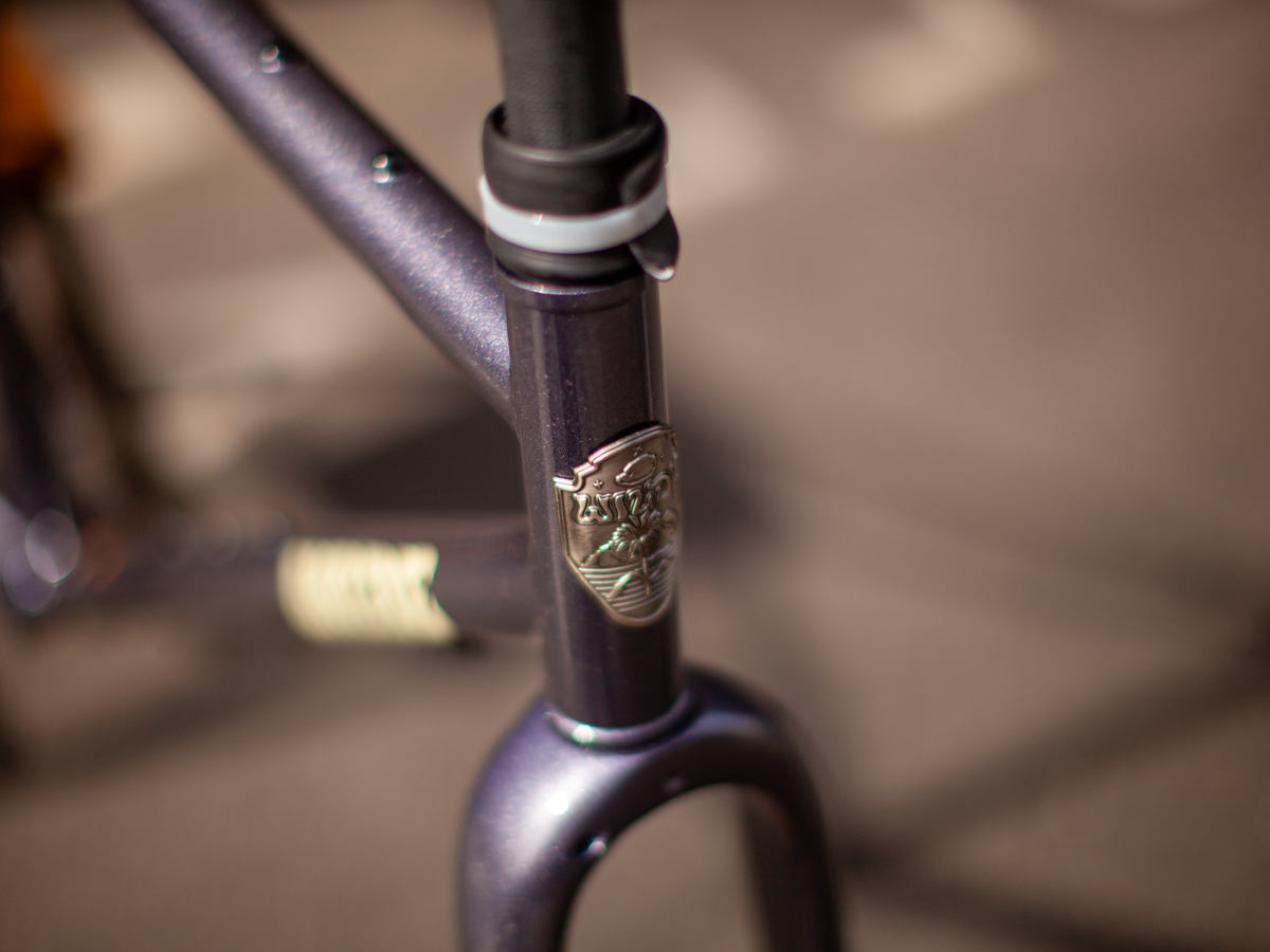 WILDE RAMBLER SL FRAME - DISCO MOONDUST