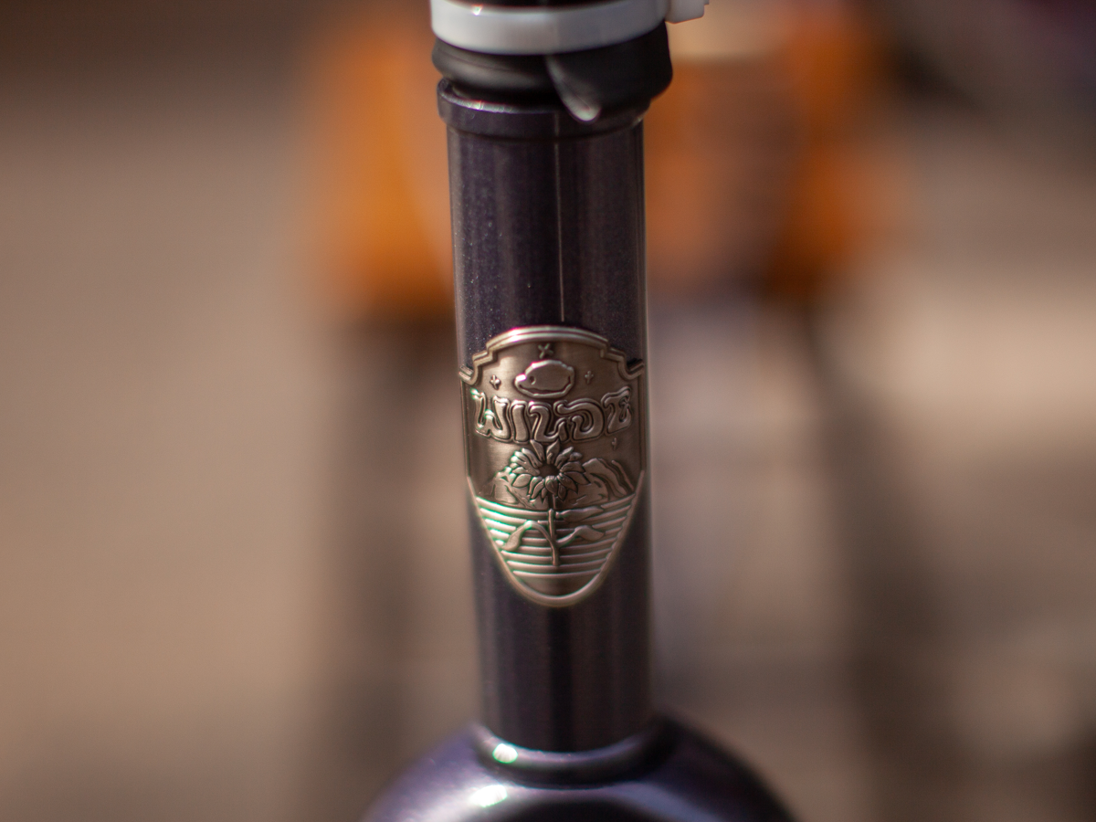 WILDE RAMBLER SL FRAME - DISCO MOONDUST