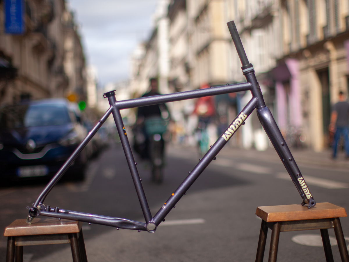 Wilde Rambler Sl Frame - Disco Moondust
