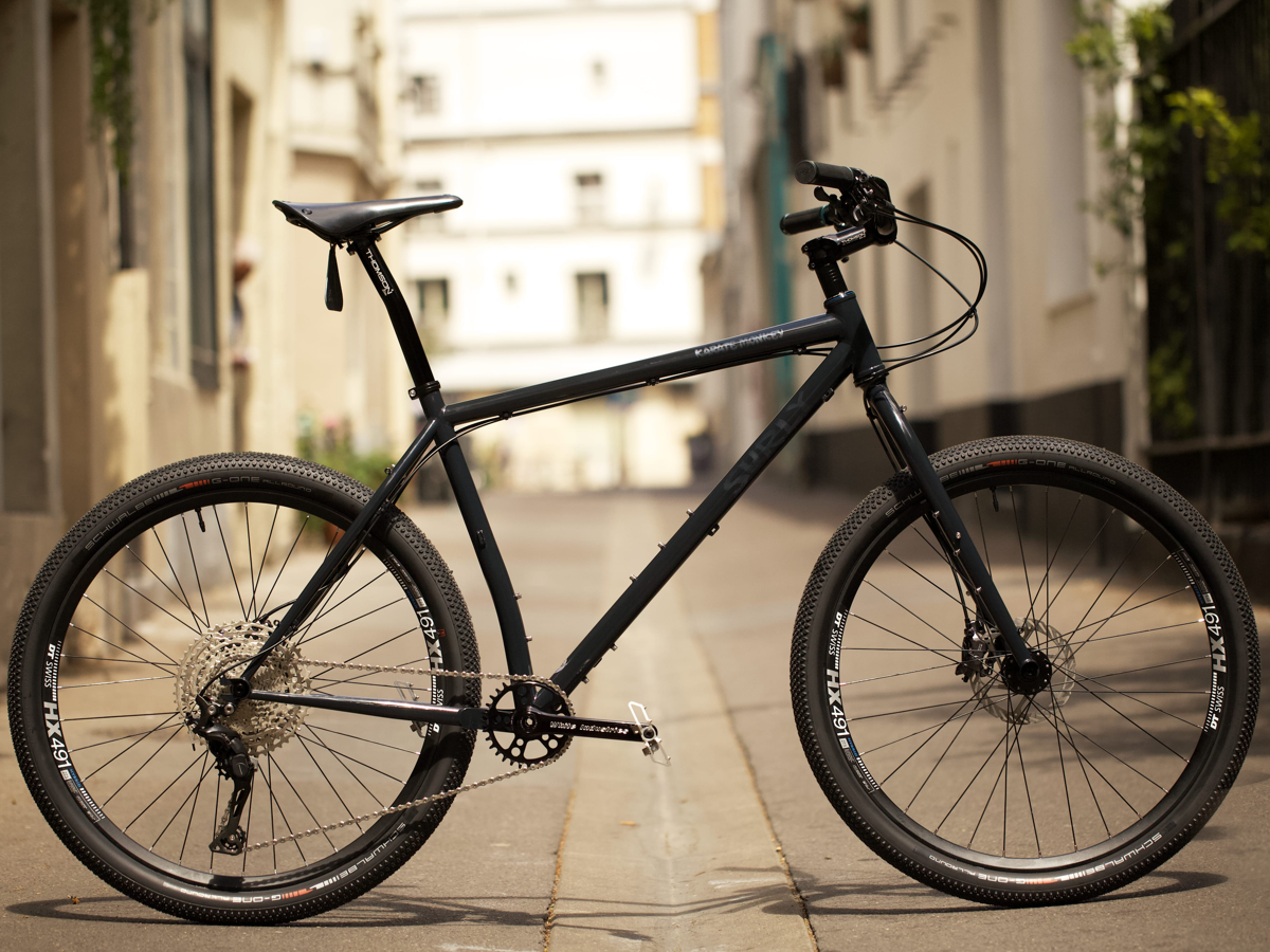Patrick's Surly Karate Monkey