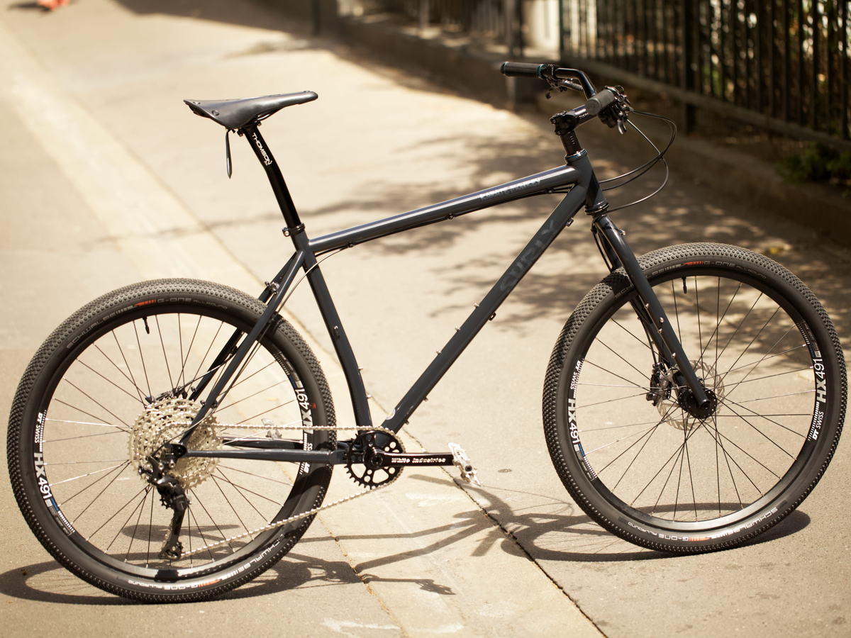 Patrick's Surly Karate Monkey