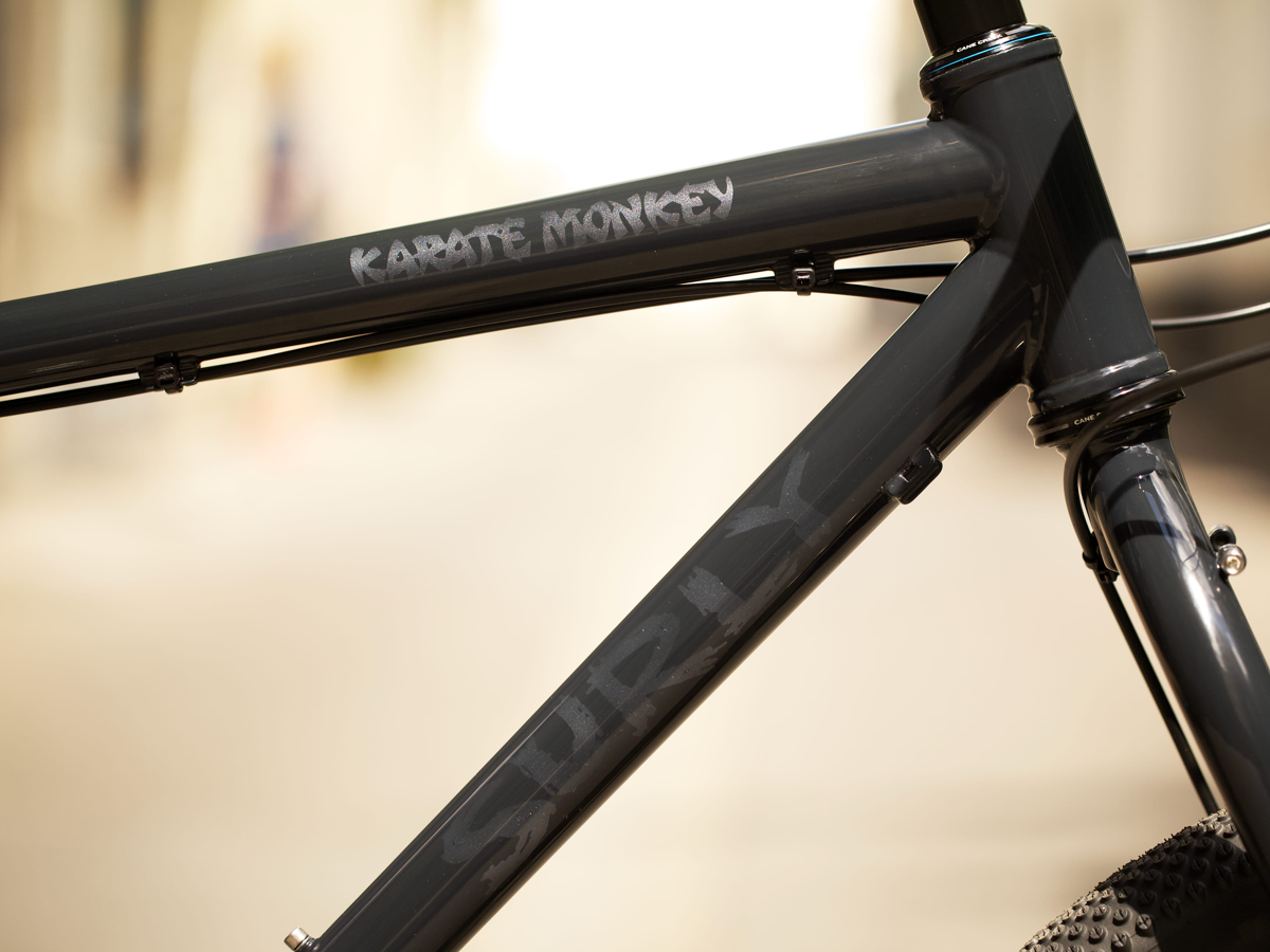 Patrick's Surly Karate Monkey