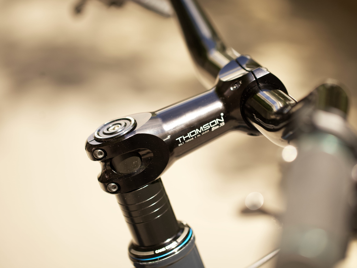 Patrick's Surly Karate Monkey