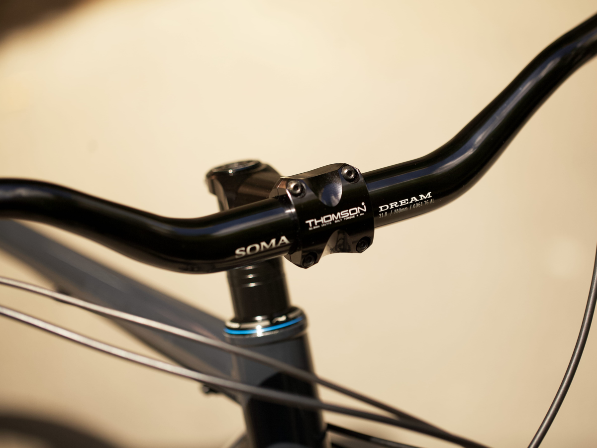 Patrick's Surly Karate Monkey