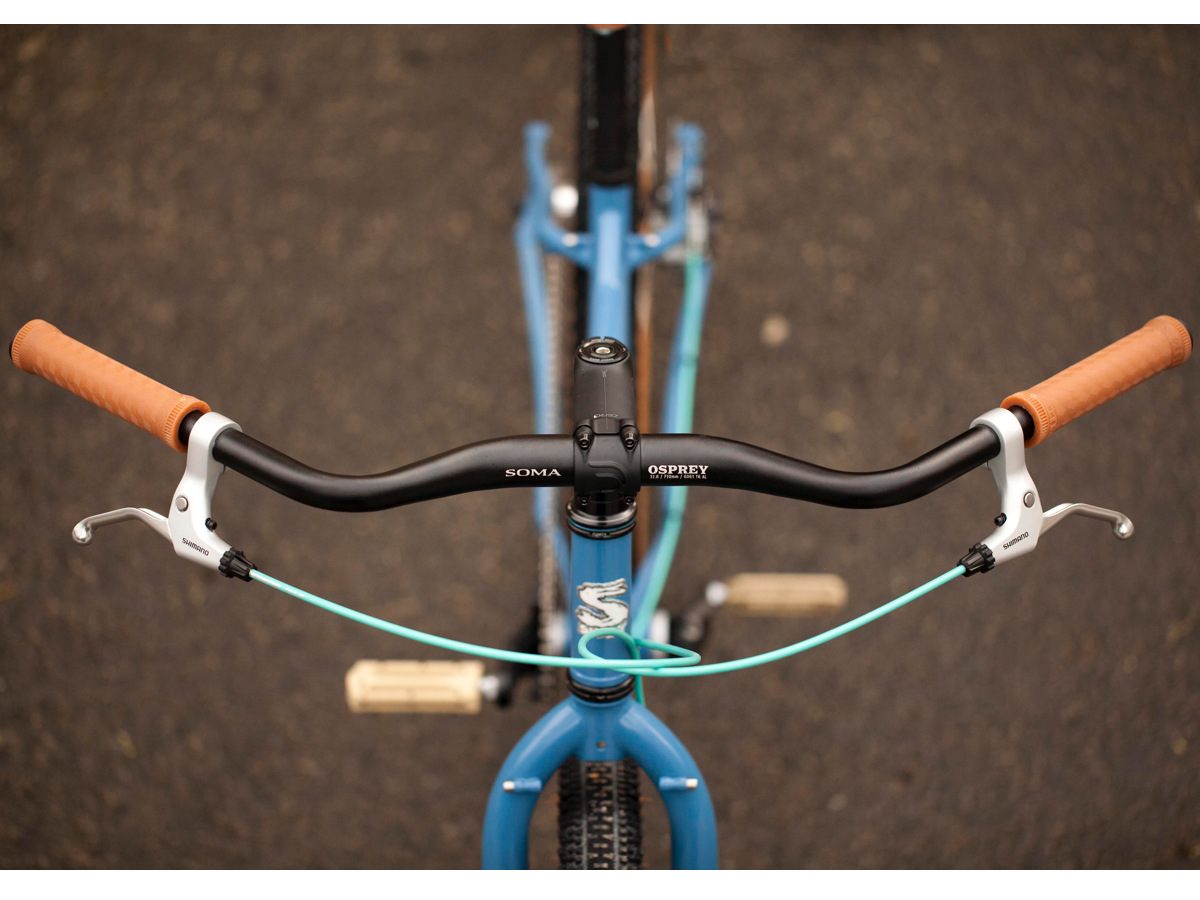 LISA'S SURLY OGRE